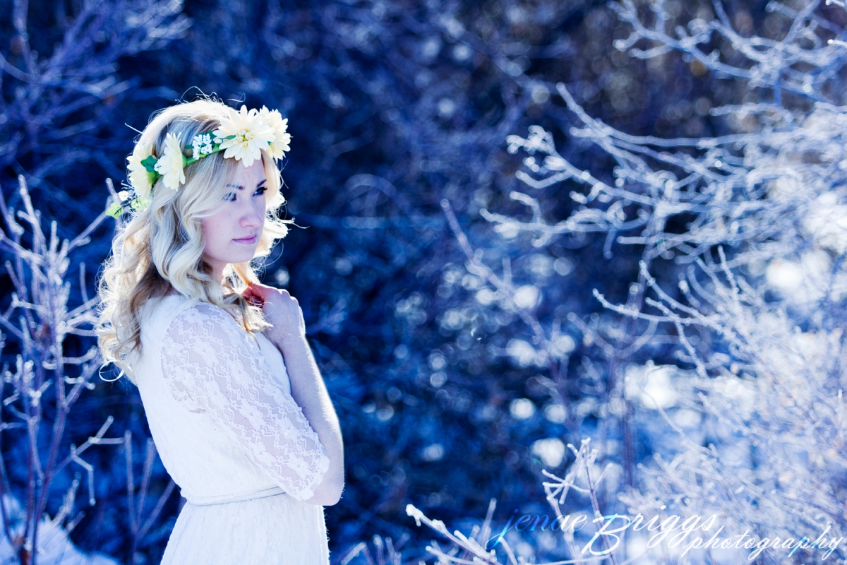 In Dreams Inspired from Lord of the Rings Snow Queen | Jenae Briggs Photography